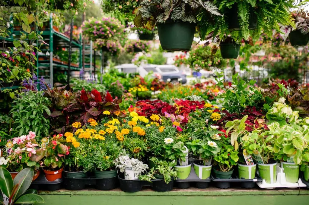 Ricky's Flower Market  Cambria Boston-Somerville Hotel