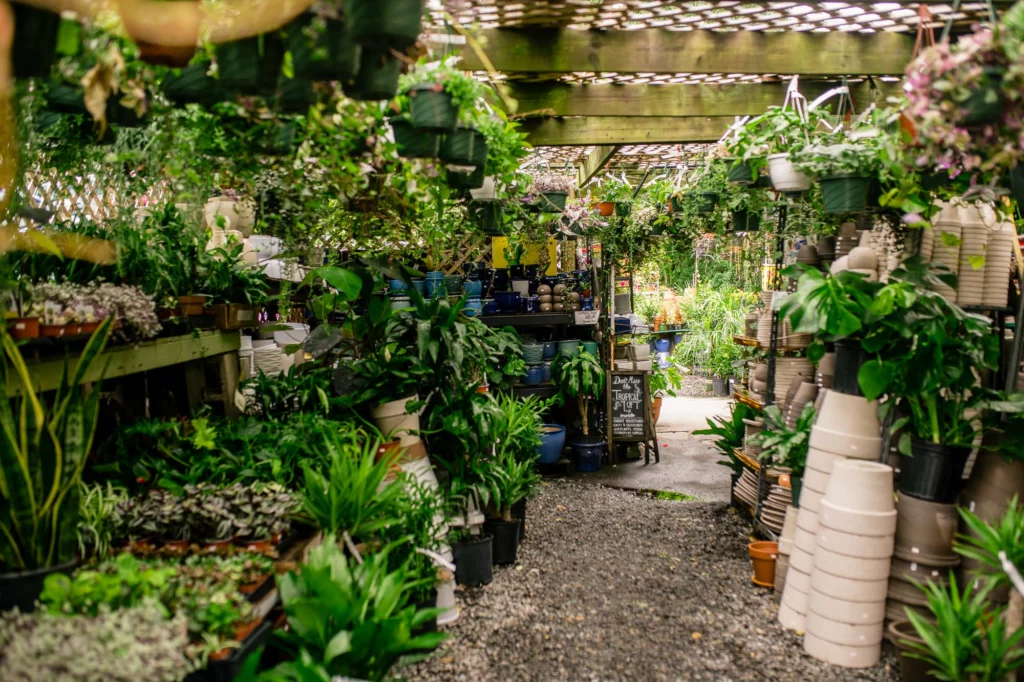 Aisles of lush green plants at a flower shop in Somerville, MA