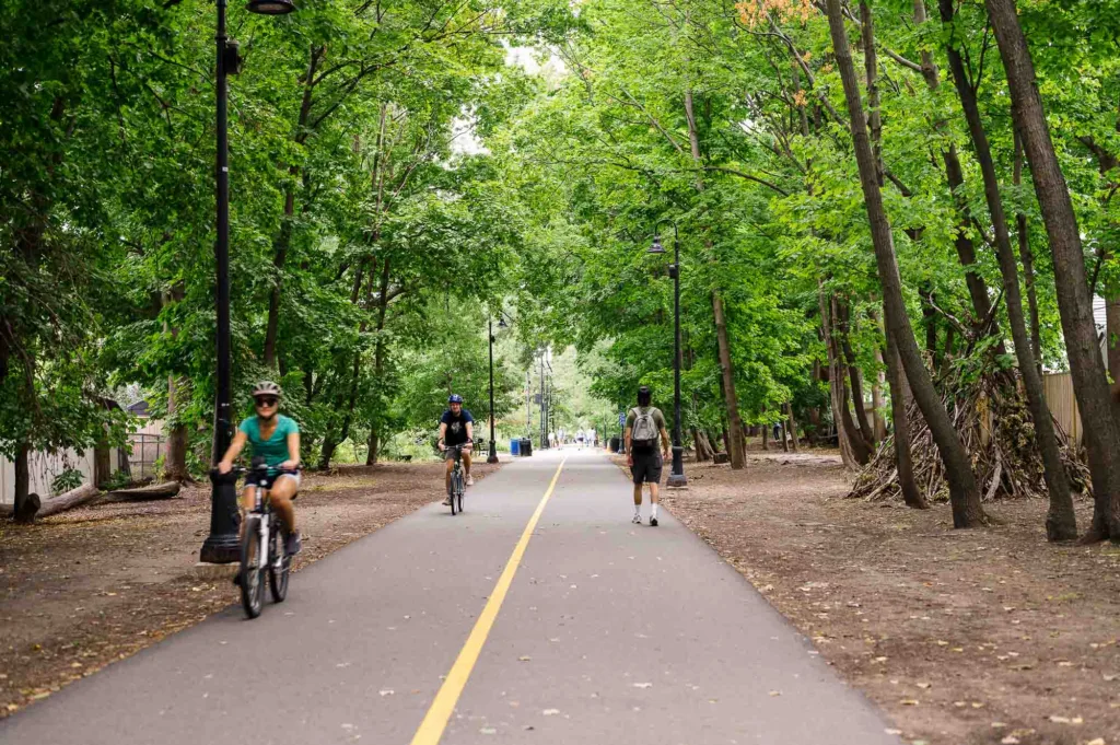 Vibrant green trees over a walking and bike trail in Somerville, MA